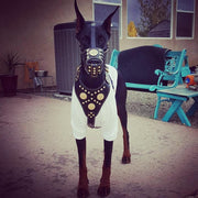 'Maximus'' Basket Muzzle Brown & Gold