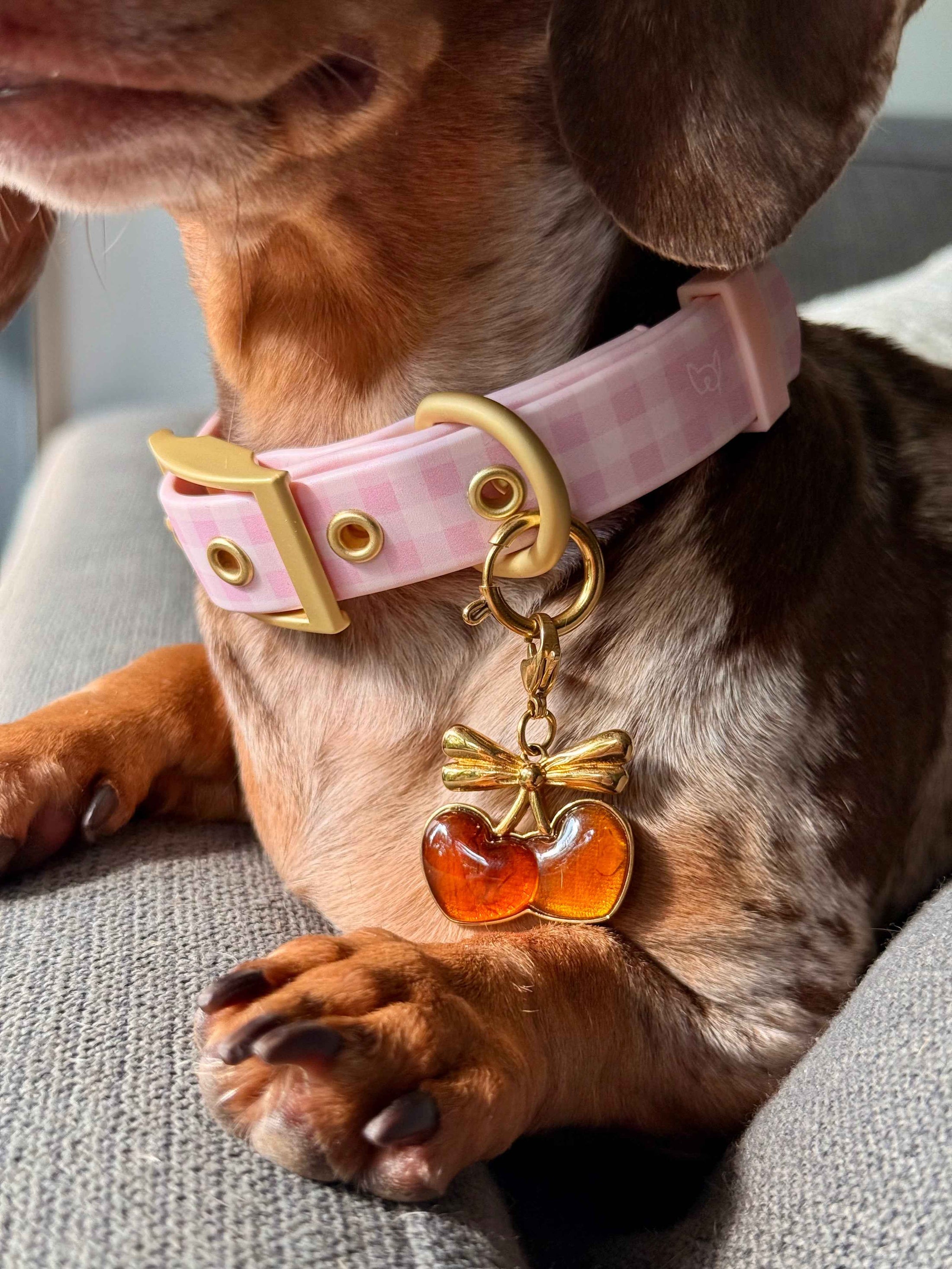 Wander! Collar 2.0 - Blossom Gingham