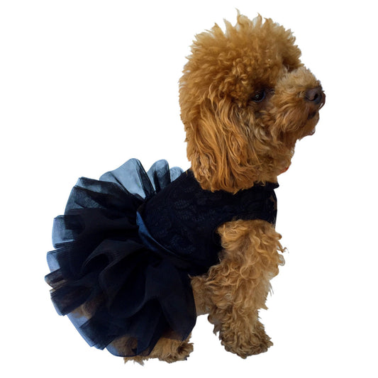 Fufu Tutu Lace, Black 
