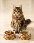 Load image into Gallery viewer, Checker Chewy Vuiton Bowls
