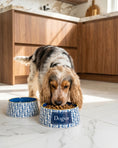 Load image into Gallery viewer, Dogior Bowl & Placemat Bundle
