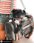 Load image into Gallery viewer, Mr. Peanut's Gold Series Standard Size Airline Compliant Pet Carrier

