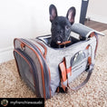 Load image into Gallery viewer, Mr. Peanut's Gold Series Standard Size Airline Compliant Pet Carrier
