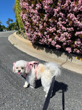 Load image into Gallery viewer, Wander! Multiway Leash & Poop Pouch Ballerina

