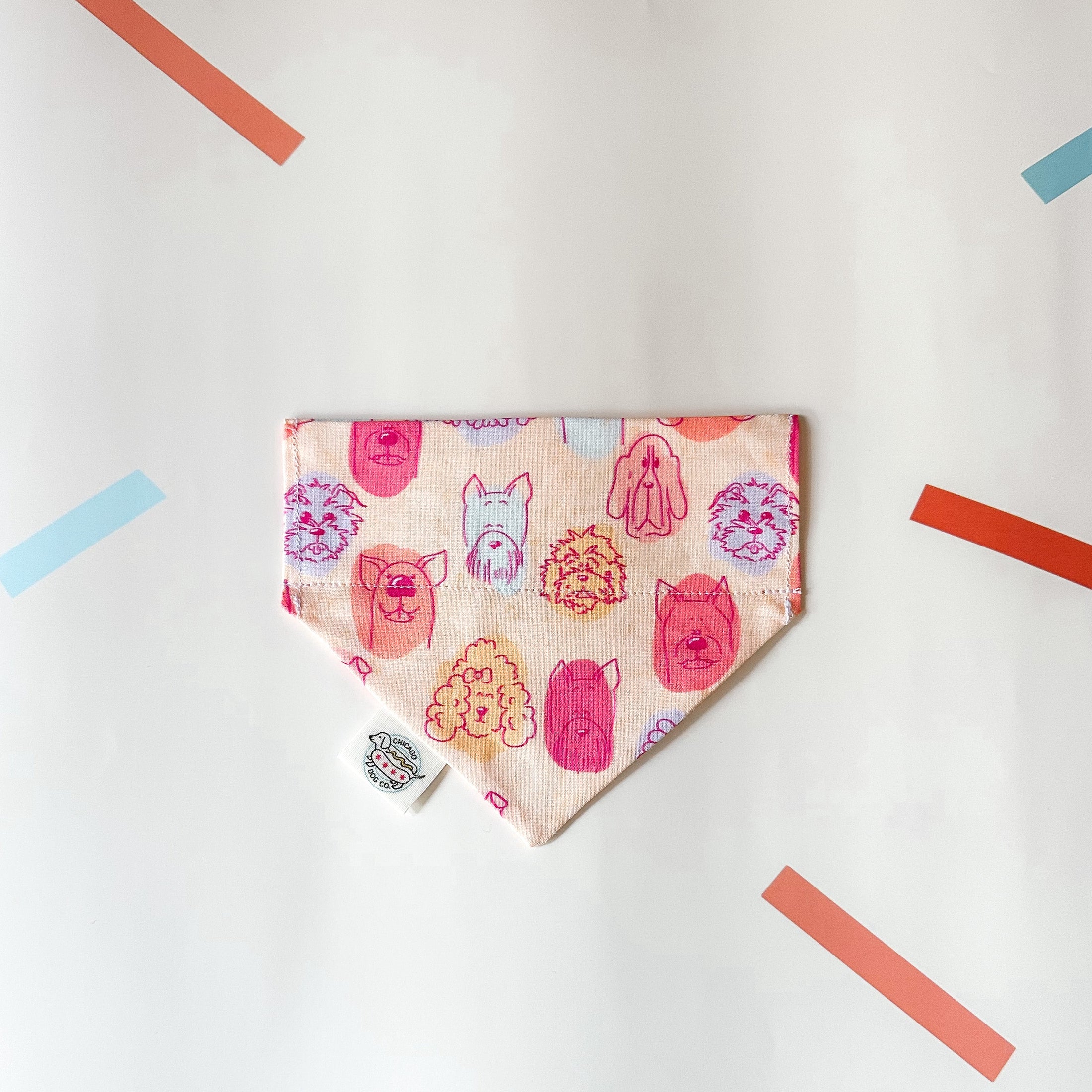 Colorpop Puppy Party Bandana