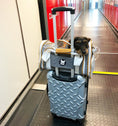 Load image into Gallery viewer, Mr. Peanut's Gold Series Standard Size Airline Compliant Expandable Pet Carrier V2.0
