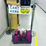 Mr. Peanut's Platinum Series Double Expandable Pet Carrier