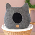 Load image into Gallery viewer, Stone Gray | Ear Style Cave
