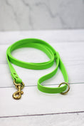 Load image into Gallery viewer, Key Lime Biothane Leash
