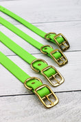 Load image into Gallery viewer, Key Lime Biothane Collar
