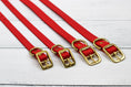 Load image into Gallery viewer, Cranberry Crush Biothane Collar
