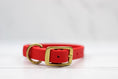 Load image into Gallery viewer, Cranberry Crush Biothane Collar
