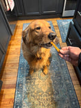 Load image into Gallery viewer, Turkey & Pumpkin Jerky for Dogs | Organic, Human-Grade, 2 Ingredients
