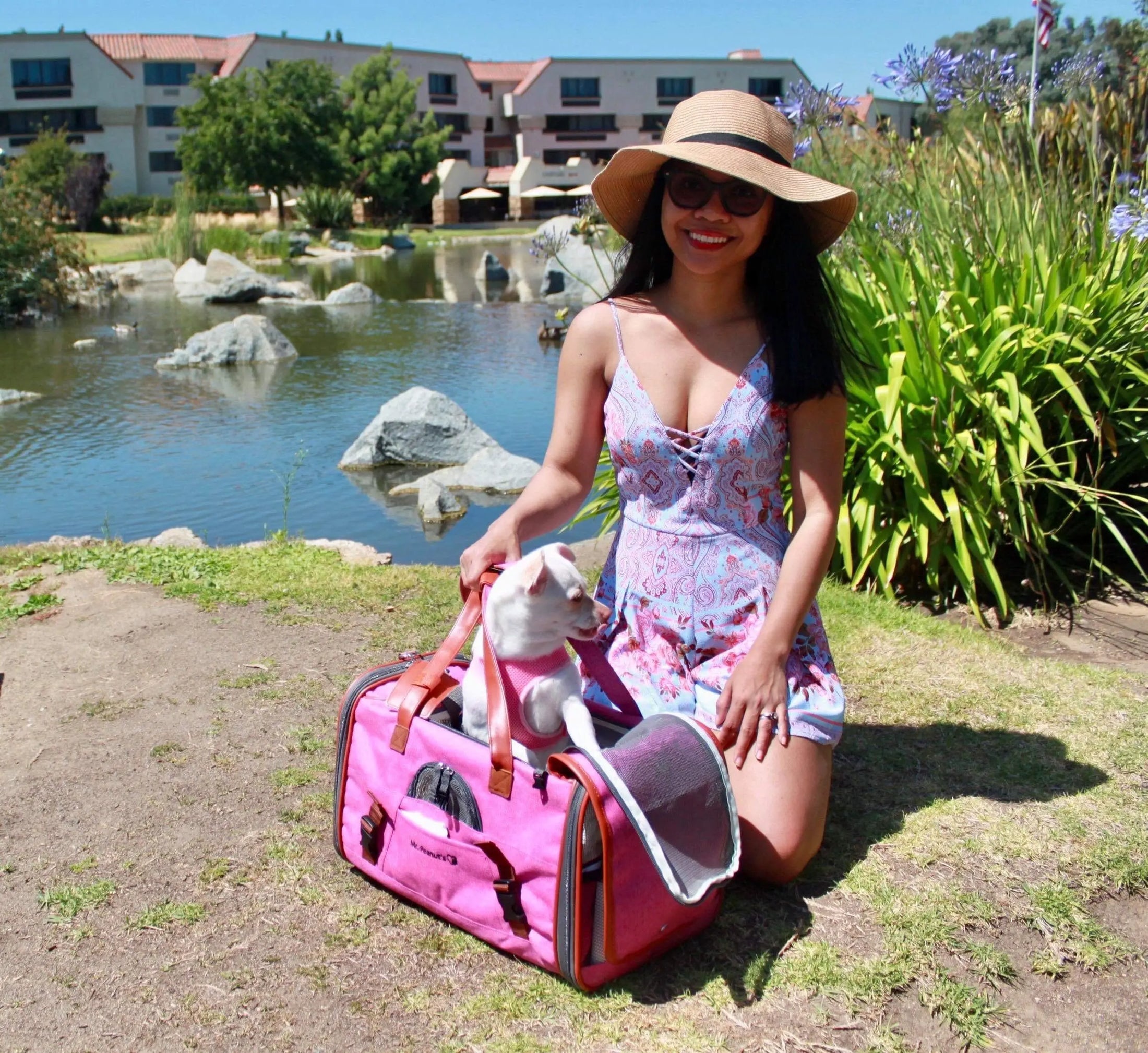 Mr. Peanut's Gold Series Standard Size Airline Compliant Pet Carrier