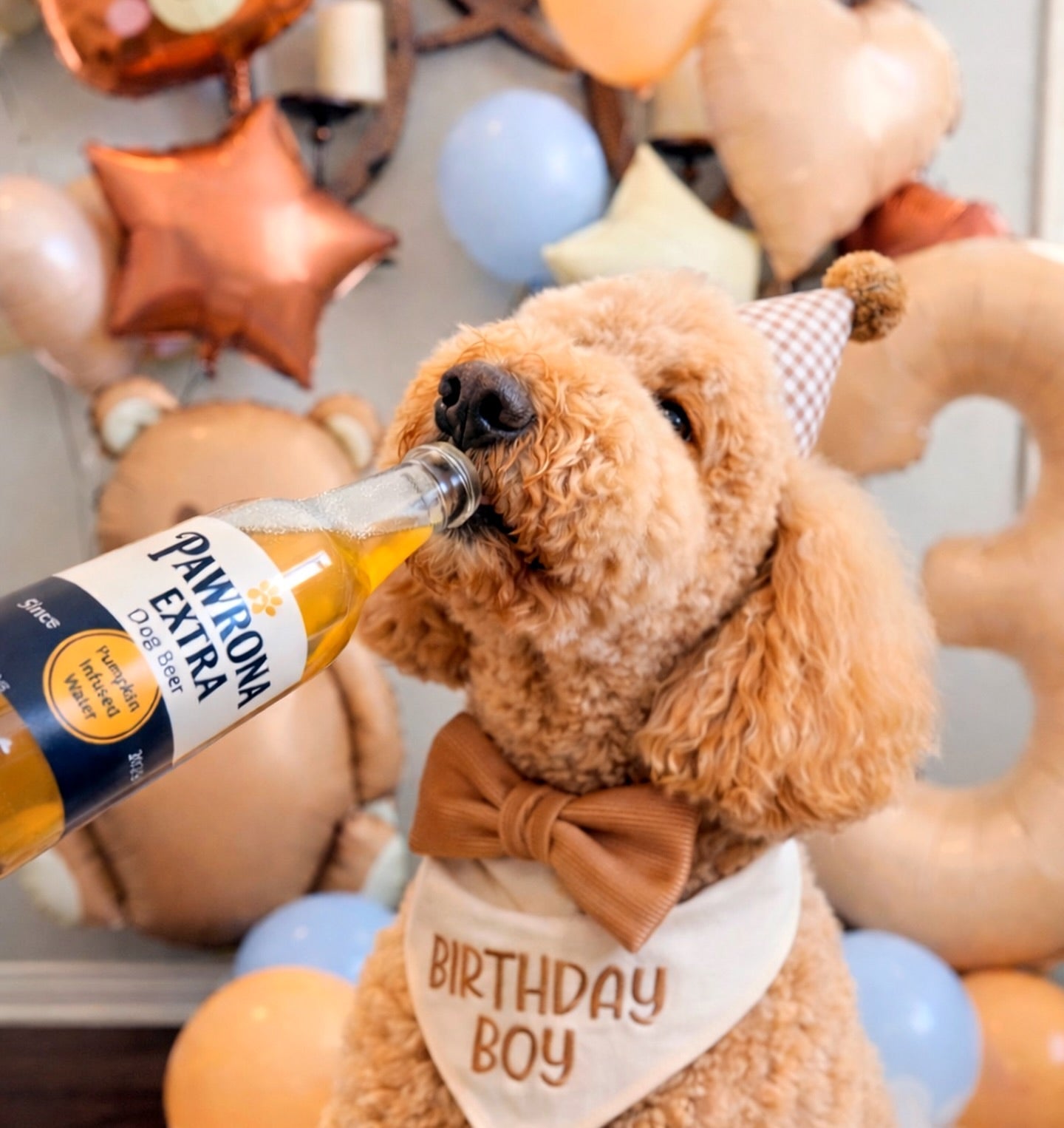 Summer Booze Bundle | 4ct