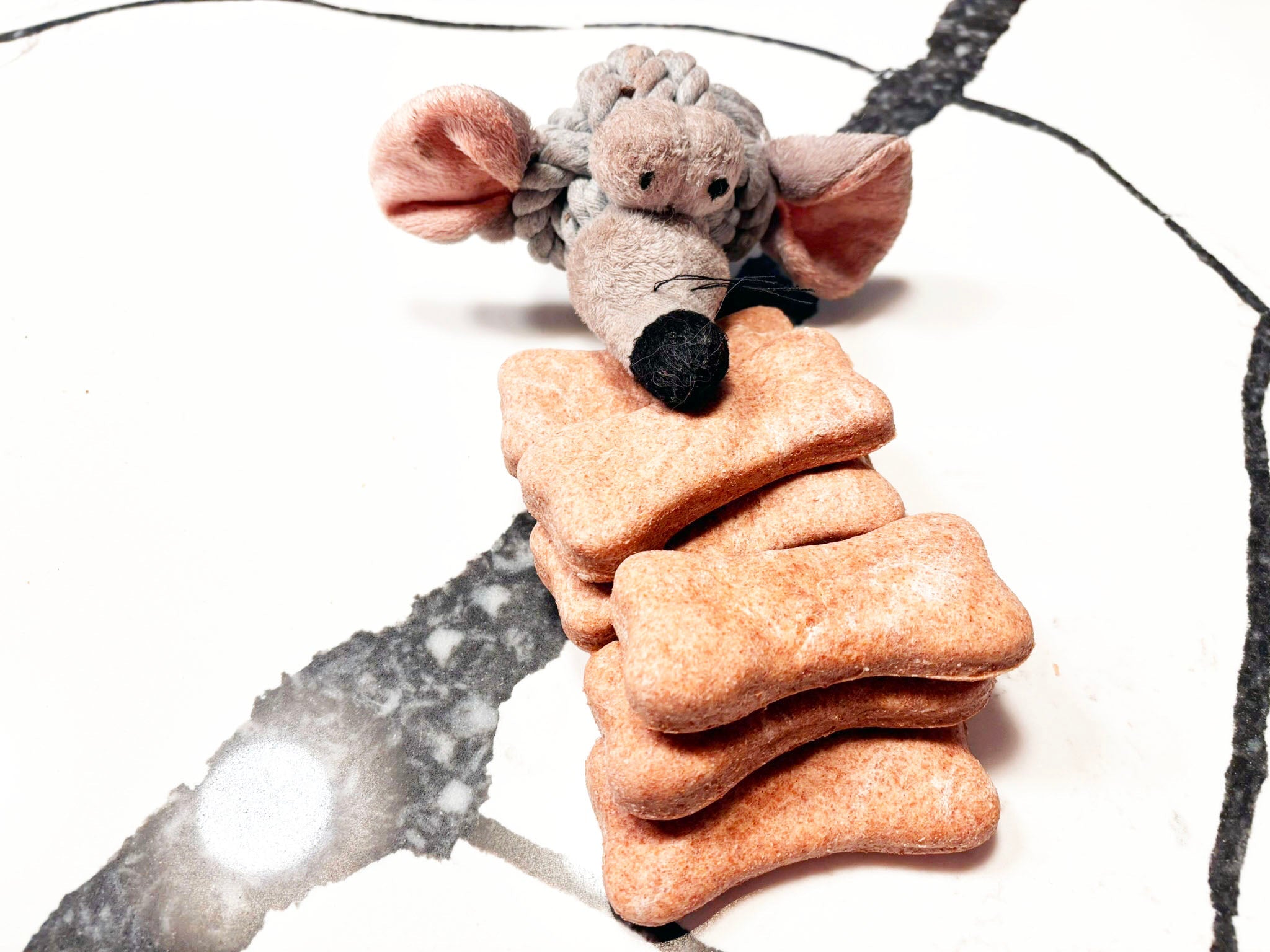 Organic Cheddar Paw Bones Dog Treats