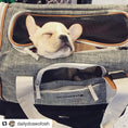 Load image into Gallery viewer, Mr. Peanut's Platinum Series Expandable Pet Carrier
