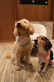 Gingerbread Man Joy Handmade Bandana 