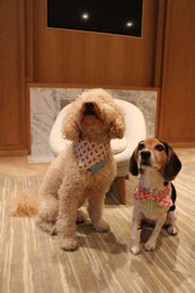 Picnic Bliss Floral Gingham Print Bandana 