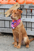 Load image into Gallery viewer, Spooky Bat Squares Dog Bandana - Southlake Paws
