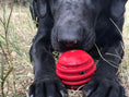 Load image into Gallery viewer, USA-K9 Stars and Stripes Ultra-Durable Rubber Chew Ball
