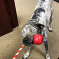 Load image into Gallery viewer, USA-K9 Cherry Bomb Durable Rubber Chew Toy, Treat Dispenser, Reward Toy, Tug Toy, and Retrieving Toy
