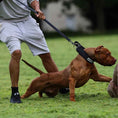 Load image into Gallery viewer, BESTIA DOG SPORT TACTICAL LEASH
