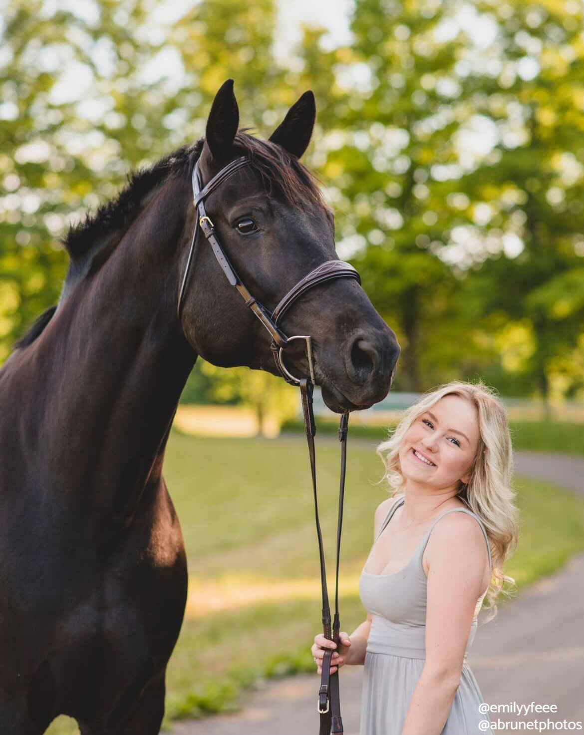 Replacement Noseband of ExionPro Fancy Stitched Raised Anatomical Bridle without Flash - Southlake Paws