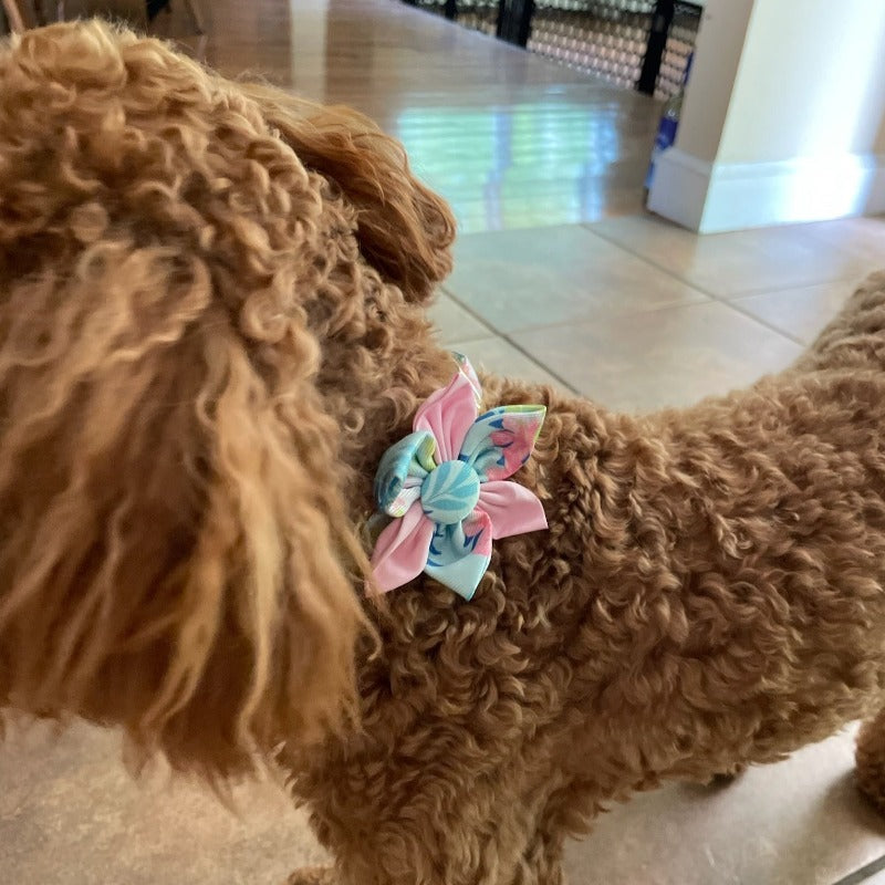 Pastel Pink Flower Dog Collar & Leash Set with Matching Poop Bag Case | Personalized Free - Southlake Paws