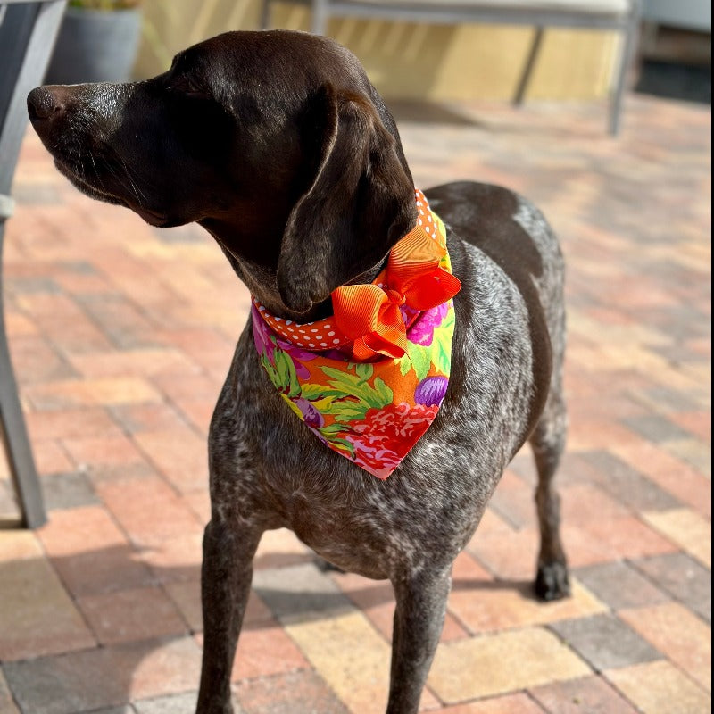 Orange & Pink Flowers Bandana Dog Collar With Bow - Southlake Paws