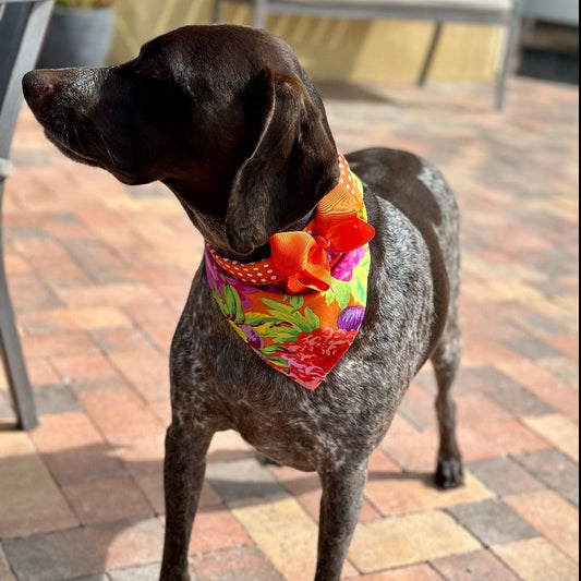 Orange & Pink Flowers Bandana Dog Collar With Bow