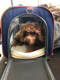 Load image into Gallery viewer, Mr. Peanut's Gold Series Big Apple XL Expandable Pet Carrier V2.0
