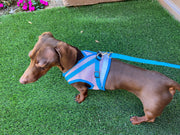 Houdini Weenie No-Escape Harness 