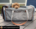 Load image into Gallery viewer, Mr. Peanut's Gold Series Big Apple XL Size Airline Compliant Expandable Pet Carrier - Southlake Paws
