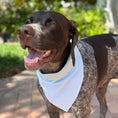 Load image into Gallery viewer, Blue Seersucker Bandana Dog Collar

