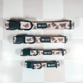 Load image into Gallery viewer, Teddy Bear Collar & Leash Set
