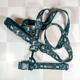 Load image into Gallery viewer, Cowboy Collar & Leash Set
