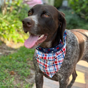 Plaid and Stars Bandana Dog Collar