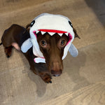 Shark Hat