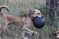 Load image into Gallery viewer, Magnum Bottle Top Flyer Ultra Durable Rubber Retrieving Frisbee - Large - Black
