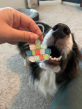 Load image into Gallery viewer, Dog Vibes Acrylic Keychain
