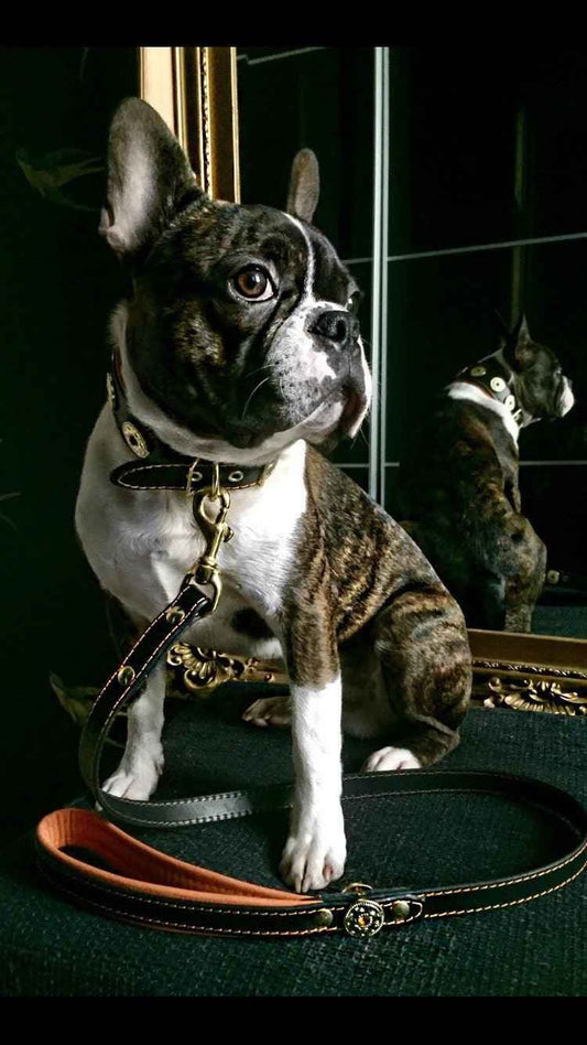 'Bijou'' leather lead orange