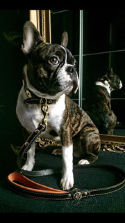 'Bijou'' leather lead orange