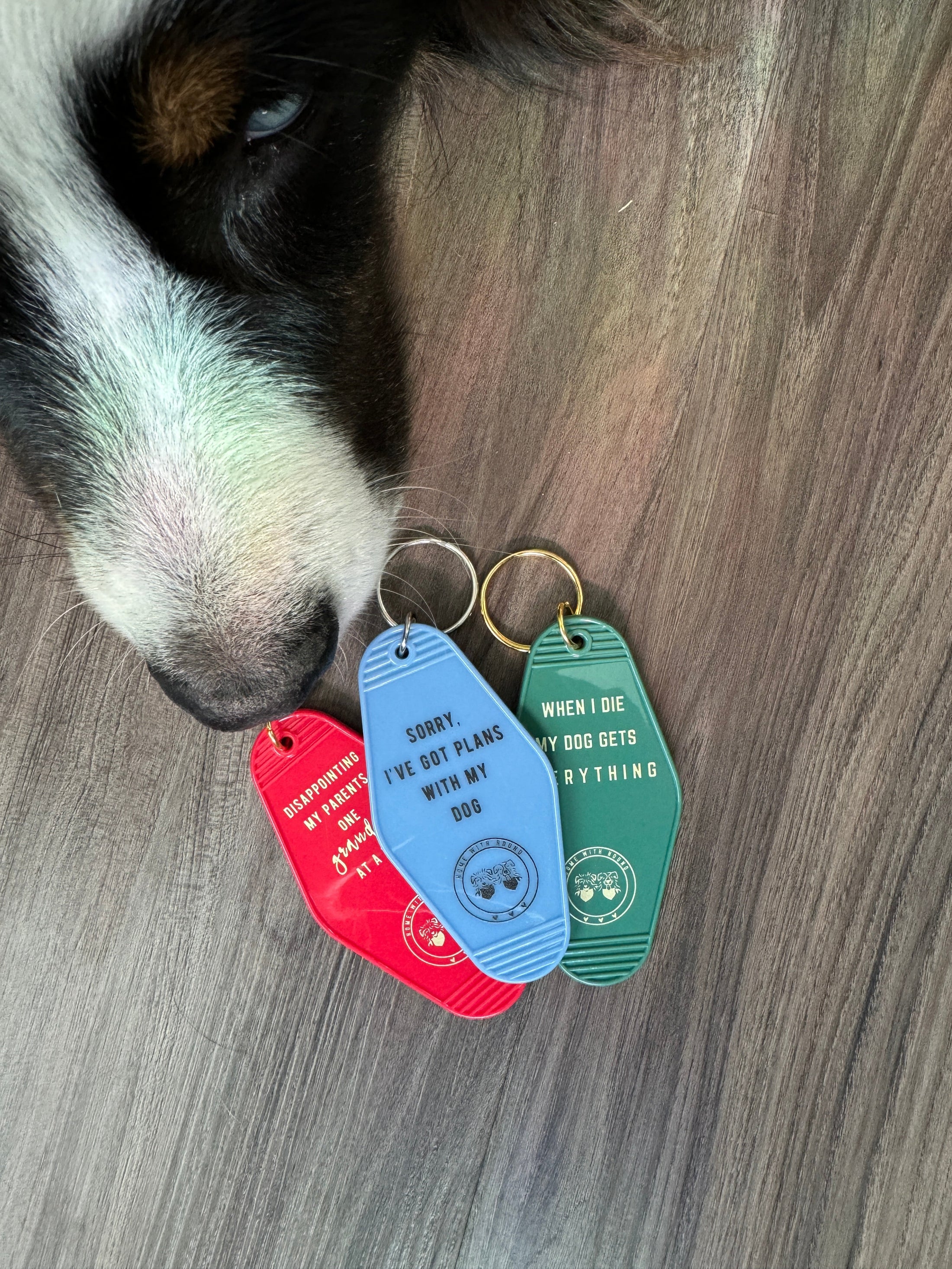 Blue I've Got Plans Motel Keychain
