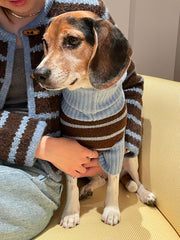 Bluebell Stripes Sweater 