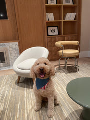 Park Day Denim Gingham Print Handmade Bandana 