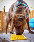 Load image into Gallery viewer, A dog with a floral bandana interacts with a yellow Honeycomb eMat on a concrete surface, designed for enrichment and anxiety
