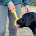Load image into Gallery viewer, eStick Hand-Held Dog Enrichment Toy - Interactive Lick Stick | USA Made
