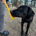 Load image into Gallery viewer, eStick Hand-Held Dog Enrichment Toy - Interactive Lick Stick | USA Made
