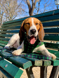 Load image into Gallery viewer, Parisian Pet 'Freedom Harness Scottish' for Dogs & Cats – Comfortable Adjustable Plaid Dog Harness, Durable Design, Green & Blue
